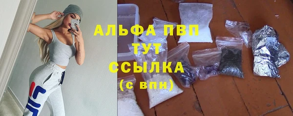 соль ск Ладушкин