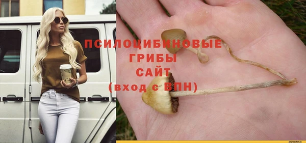 spice Абинск