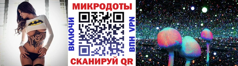 Псилоцибиновые грибы Magic Shrooms  Ковров 